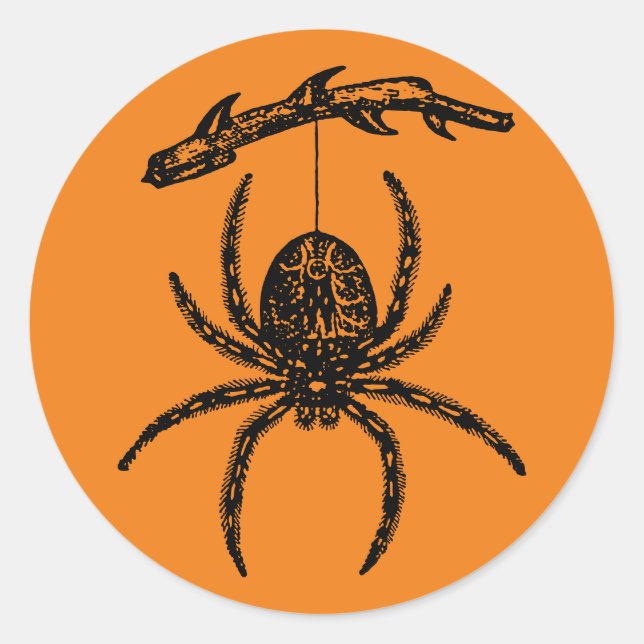 Sticker rond classique de l'Araignée orange d'Hall (Devant)