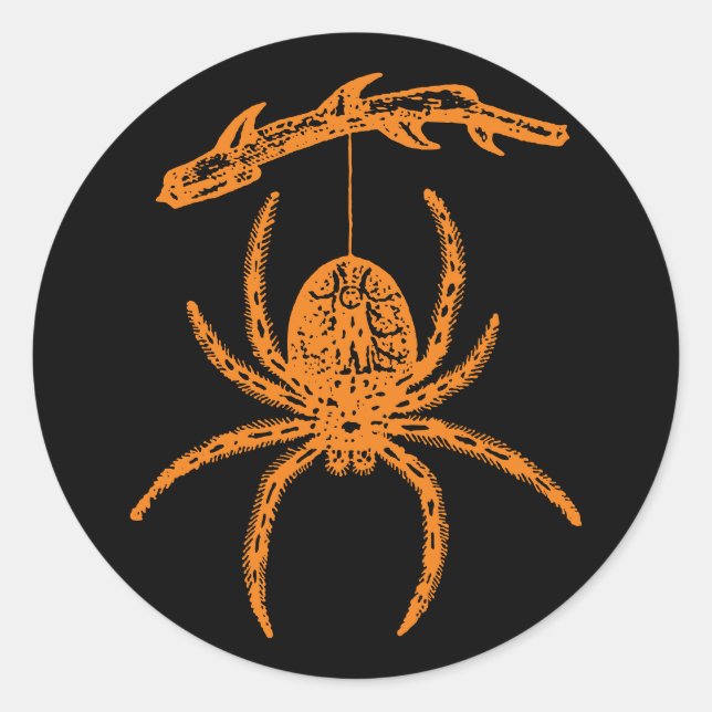 Sticker rond classique de l'Araignée orange d'Hall (Devant)