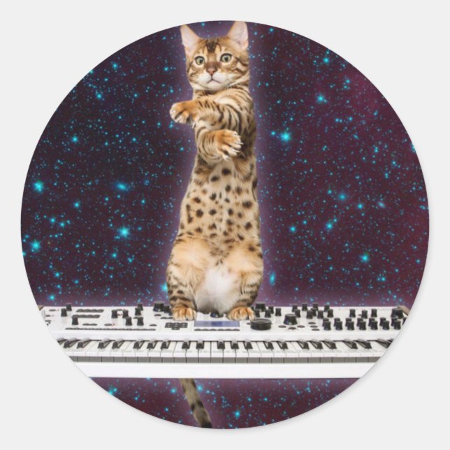 Sticker Rond Clavier chat frappe à nouveau (Devant)
