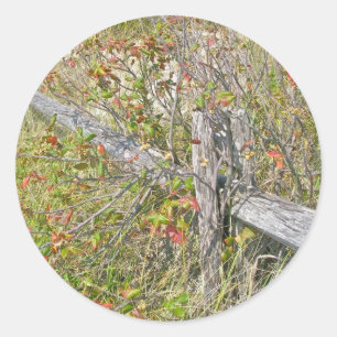 Sticker Rond Clôture et poison Ivy IBSP NJ Éléments de coordina