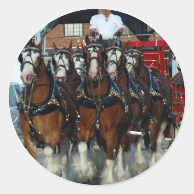 Sticker Rond Clydesdale 6 cheval hitch (Devant)
