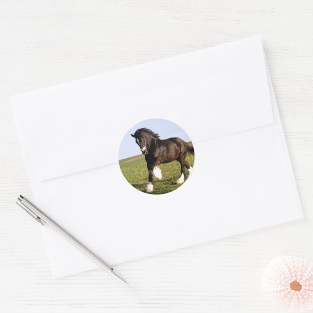 Sticker Rond Clydesdale Horse (Enveloppe)