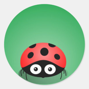 Sticker Rond Coccinelle
