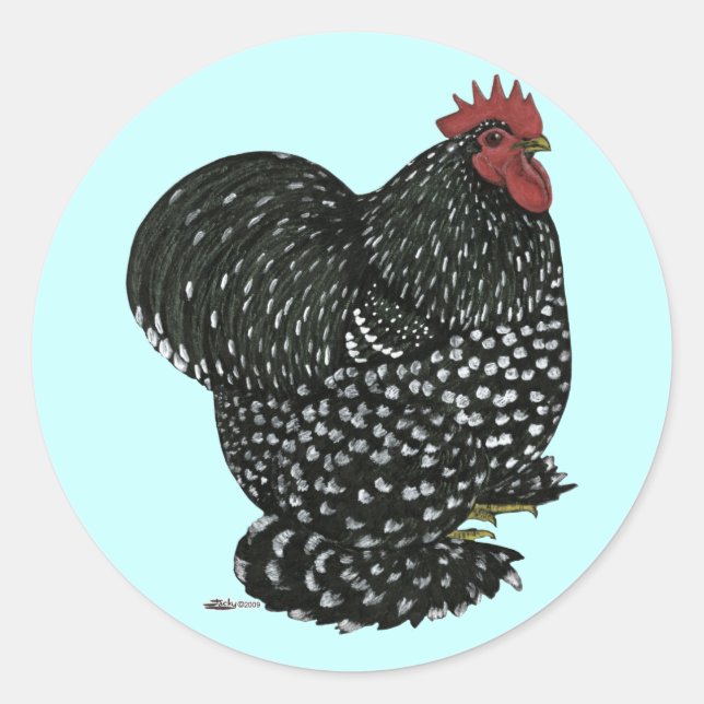 Sticker Rond Cochin : Motte noire (Devant)