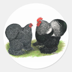 Sticker Rond Cochins : crayonnés d'argent