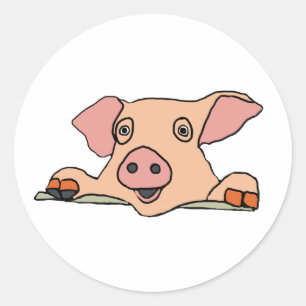 Sticker Rond Cochon