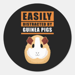 Sticker Rond Cochon de Guinée   Facilement Distrait Par Les Coc