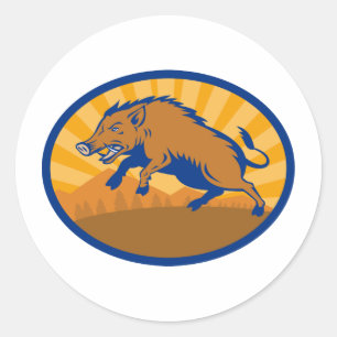 Sticker Rond Cochon sauvage de porc Razorback Hog attaque