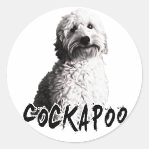 Sticker Rond Cockapoo
