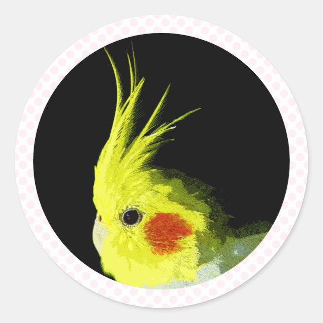 Sticker Rond Cockatiel (Devant)