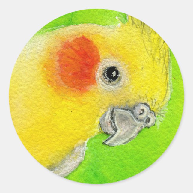 Sticker Rond Cockatiel Peek-a-boo (Devant)