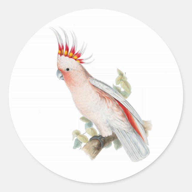 Sticker Rond Cockatoo Art Vintage (Devant)
