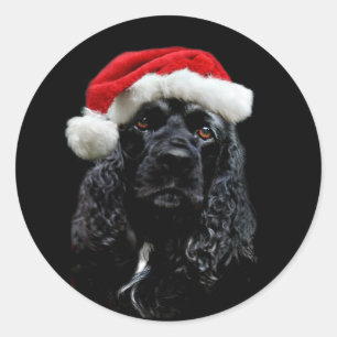 Sticker Rond Cocker Spaniel Christmas