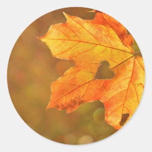 Sticker Rond Coeur de feuille d'érable