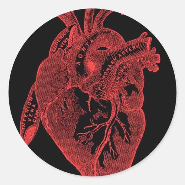Sticker Rond Coeur noir anatomique (Devant)