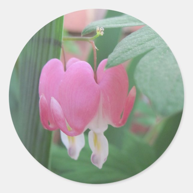 Sticker Rond Coeurs Saignants~ Deux Coeurs Comme Un (Devant)