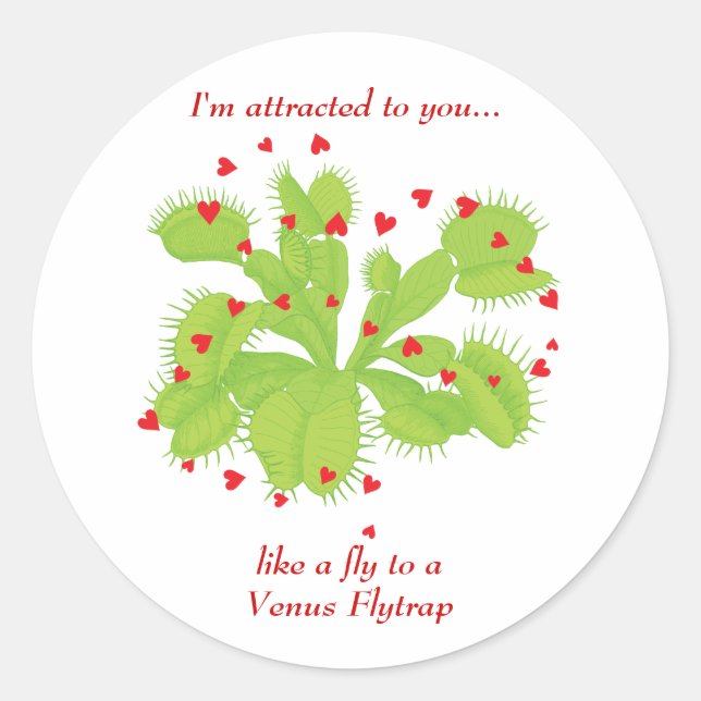 Sticker Rond Coeurs & Vénus Flytrap (Devant)