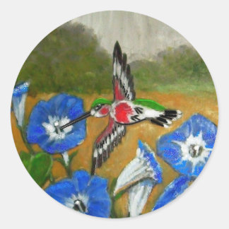 Sticker Rond Colibri