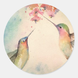 Sticker Rond colibri