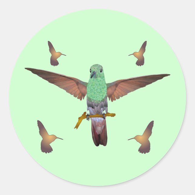 Sticker Rond Colibri (Devant)