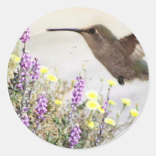 Sticker Rond Colibri et Fleurs Sauvages Art Numérique