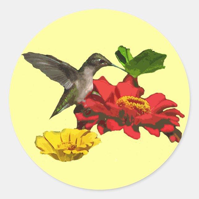 Sticker Rond Colibri et Zinnias (Devant)