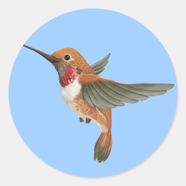 Sticker Rond Colibri roux (Devant)