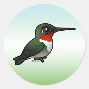 Sticker Rond colibri Rubis-throated