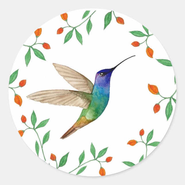 Sticker Rond Colibri saphir à queue dorée vierge (Devant)