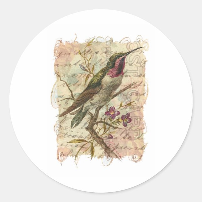 Sticker Rond Colibri vintage (Devant)