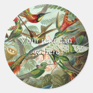 Sticker Rond Colibri vintage
