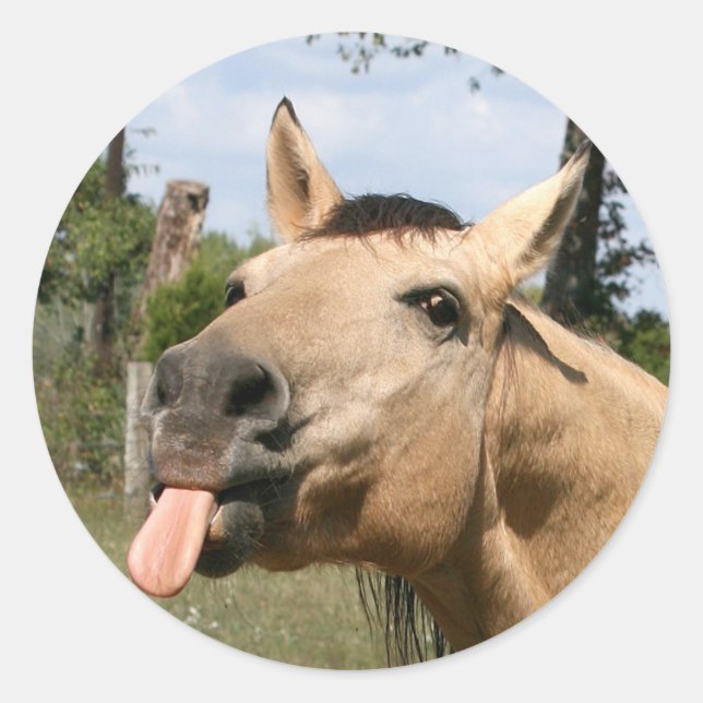 Sticker Rond collant de raifort de cheval (Devant)