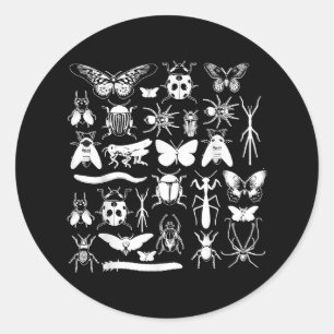 Sticker Rond Collecteur de coléoptères et de bogues - Entomolog