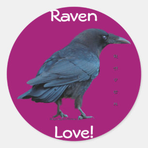 Sticker Rond Collection Black Raven III