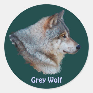 Sticker Rond Collection d'autocollants GRAY WOLF Wildlife