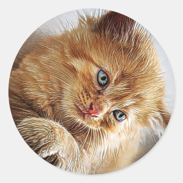 Sticker Rond Collection de chats (Devant)