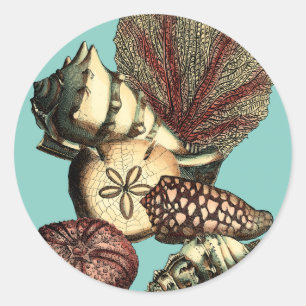 Sticker Rond Collection de coquillages turquoise et de coraux r
