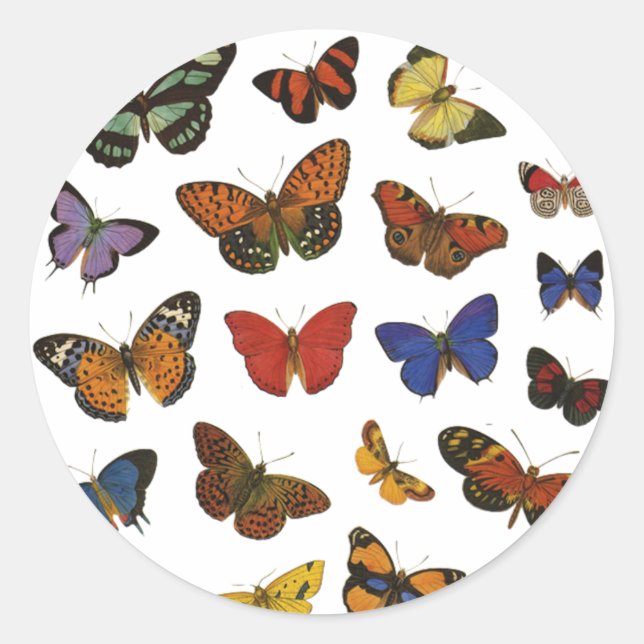 Sticker Rond Collection papillon (Devant)