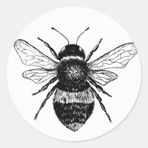 Sticker Rond Collection vintage d'autocollant d'abeille