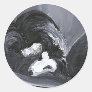 Sticker Rond Collie Bordure Pose La Peinture