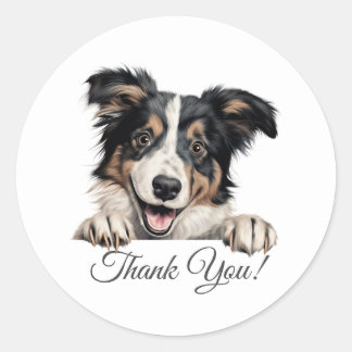 Sticker Rond Collie Dog Merci