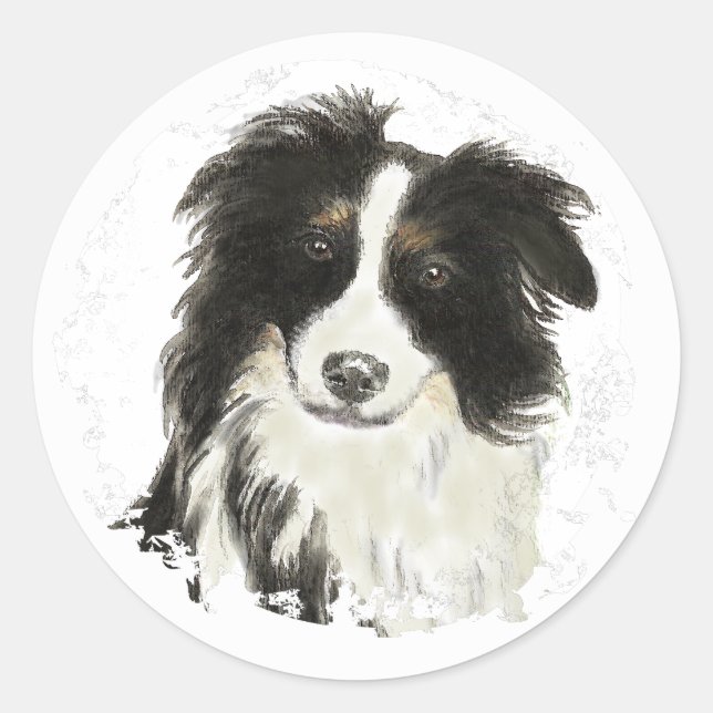 Sticker Rond Collie frontalier - Collection de chiens (Devant)