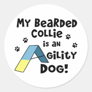 Sticker Rond Collie harcelé Agility Chien