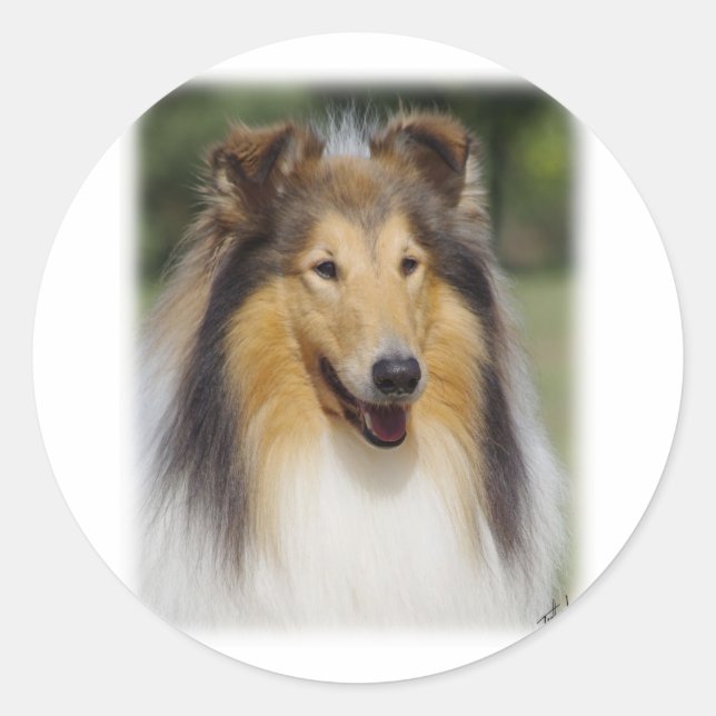 Sticker Rond Collie Roiugh AA011D-031 (Devant)
