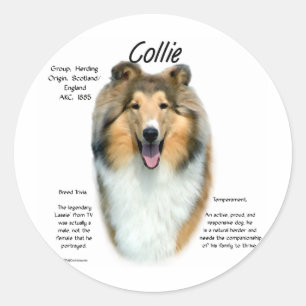 Sticker Rond Collie (sable brut) Historique Conception