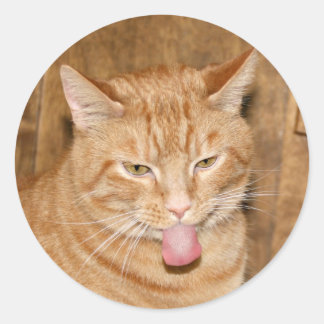Sticker Rond Collier de fraise