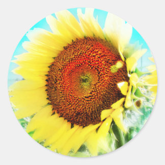 Sticker Rond Collier de tournesol