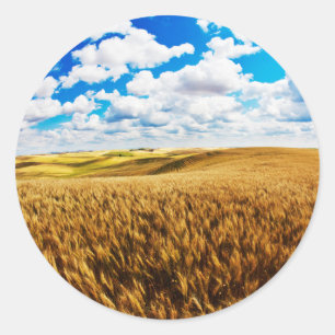 Sticker Rond Collines ondoyantes de blé mûr