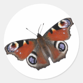 Sticker Rond Colonne papillon de paon