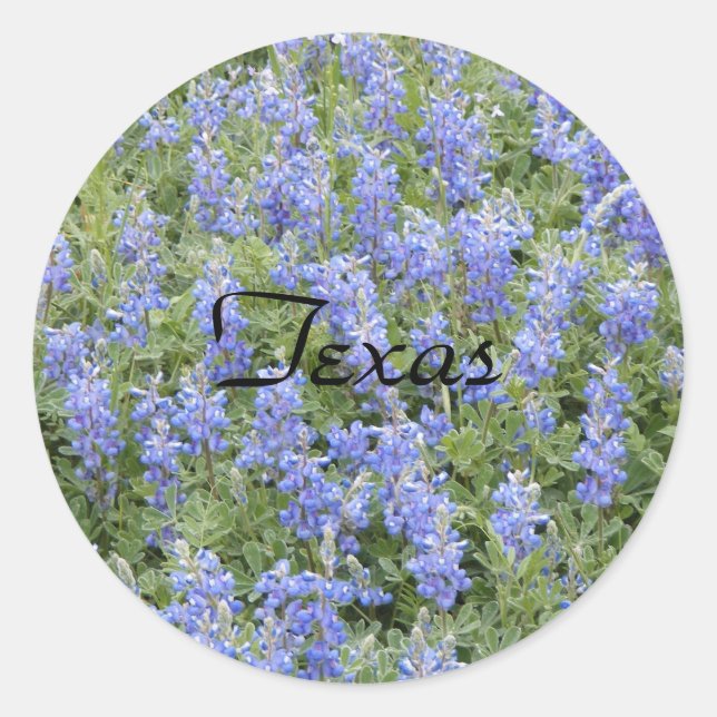 Sticker Rond Colonne texane bluebonnet (Devant)
